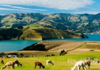 test product2 - new5